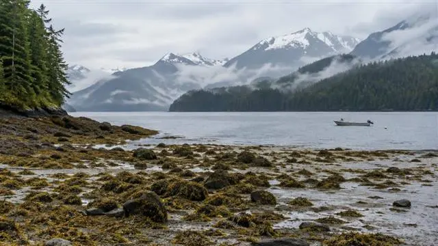 Planning Your First Alaska Coastal Hunting Adventure Planning Your First Alaska Coastal Hunting Adventure